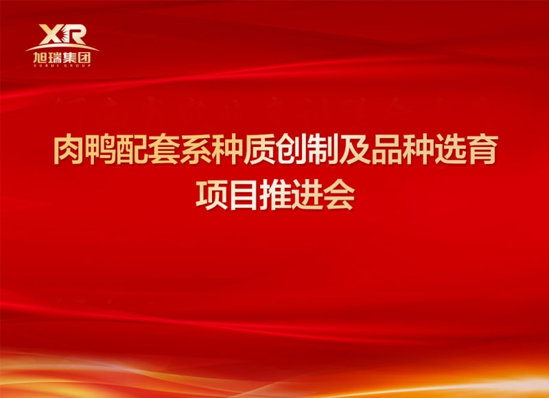 河南省肉鸭种质创制及品种选育项目推进会顺利召开