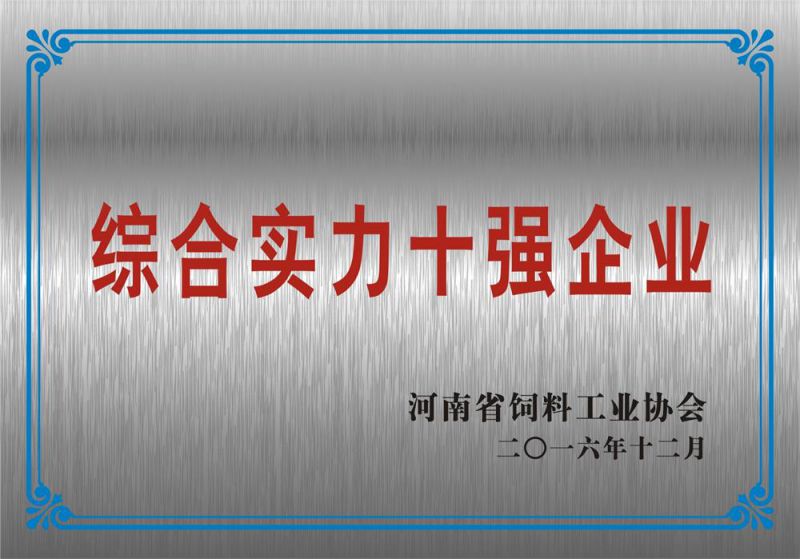 综合实力十强企业